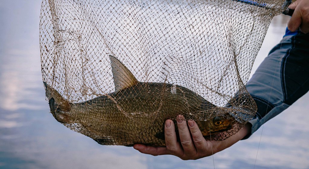 Собираем снасть для ловли на мах 00009.JPG